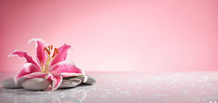 The Secret Routine of Smooth Skin